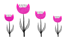 Zinnia Garden Design